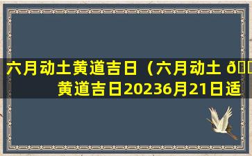 六月动土黄道吉日（六月动土 🌿 黄道吉日20236月21日适 🐳 合动土吗）